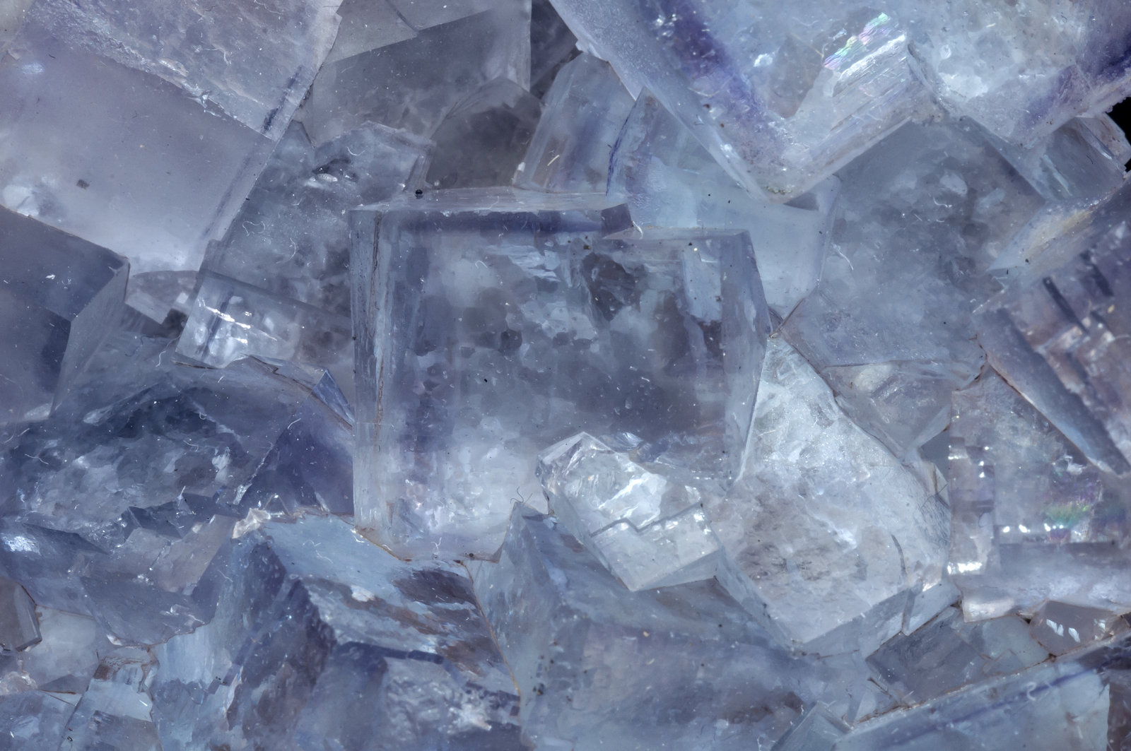 specimens/s_imagesAL4/Fluorite-NB97AL4d.jpg