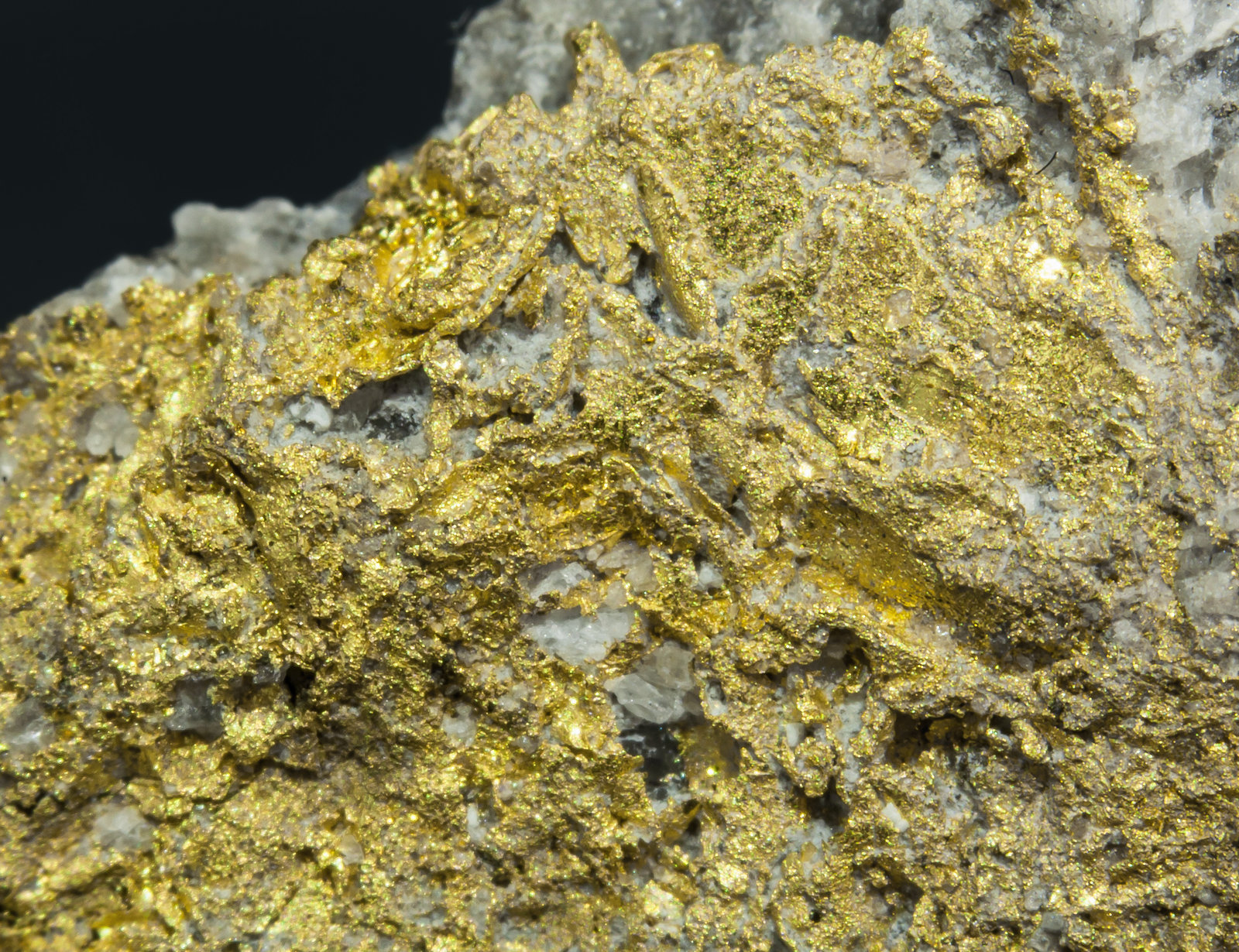 specimens/s_imagesAL4/Gold-MD48AL4d.jpg