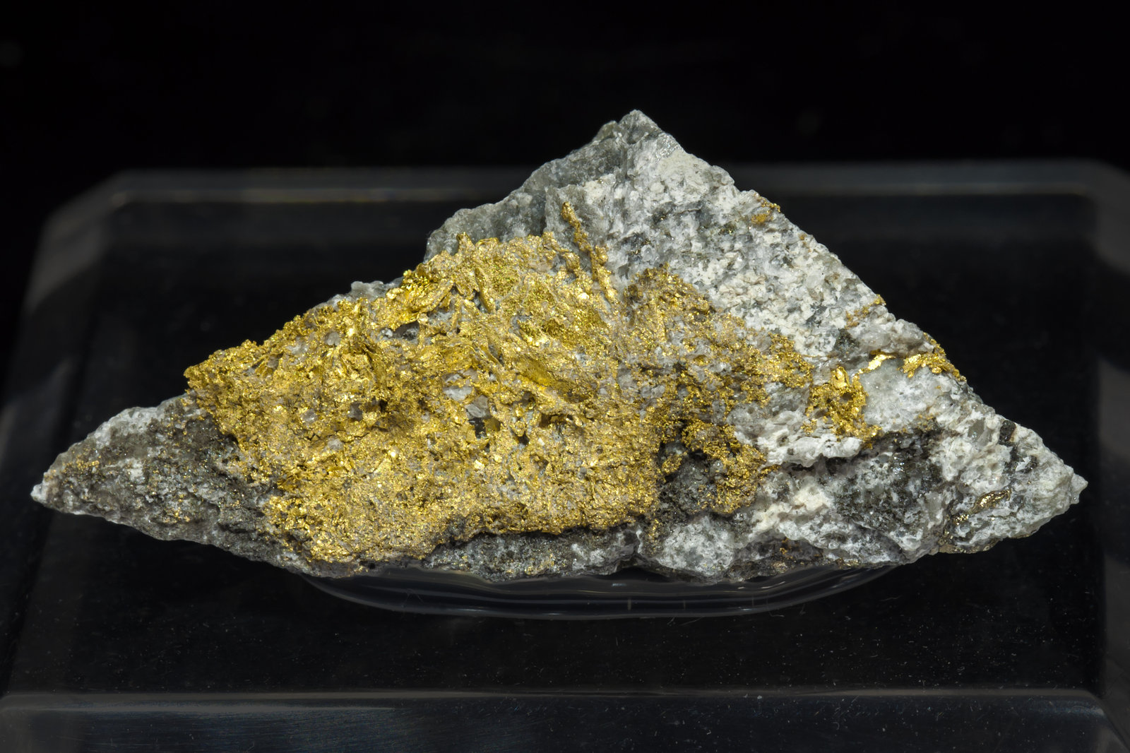 specimens/s_imagesAL4/Gold-MD48AL4f.jpg