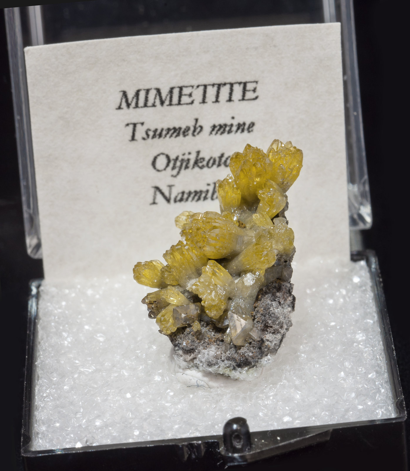 specimens/s_imagesAL4/Mimetite-TL26AL4f1.jpg