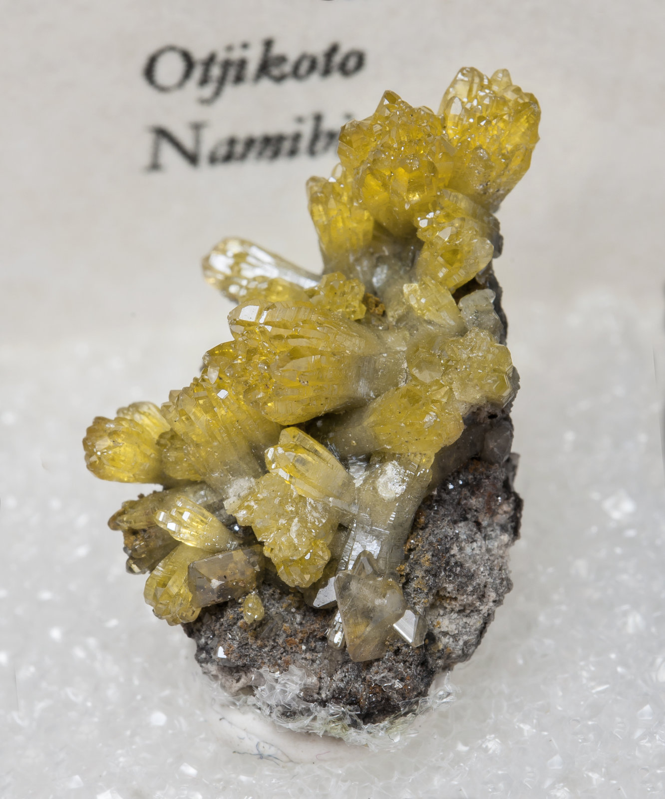 specimens/s_imagesAL4/Mimetite-TL26AL4f2.jpg