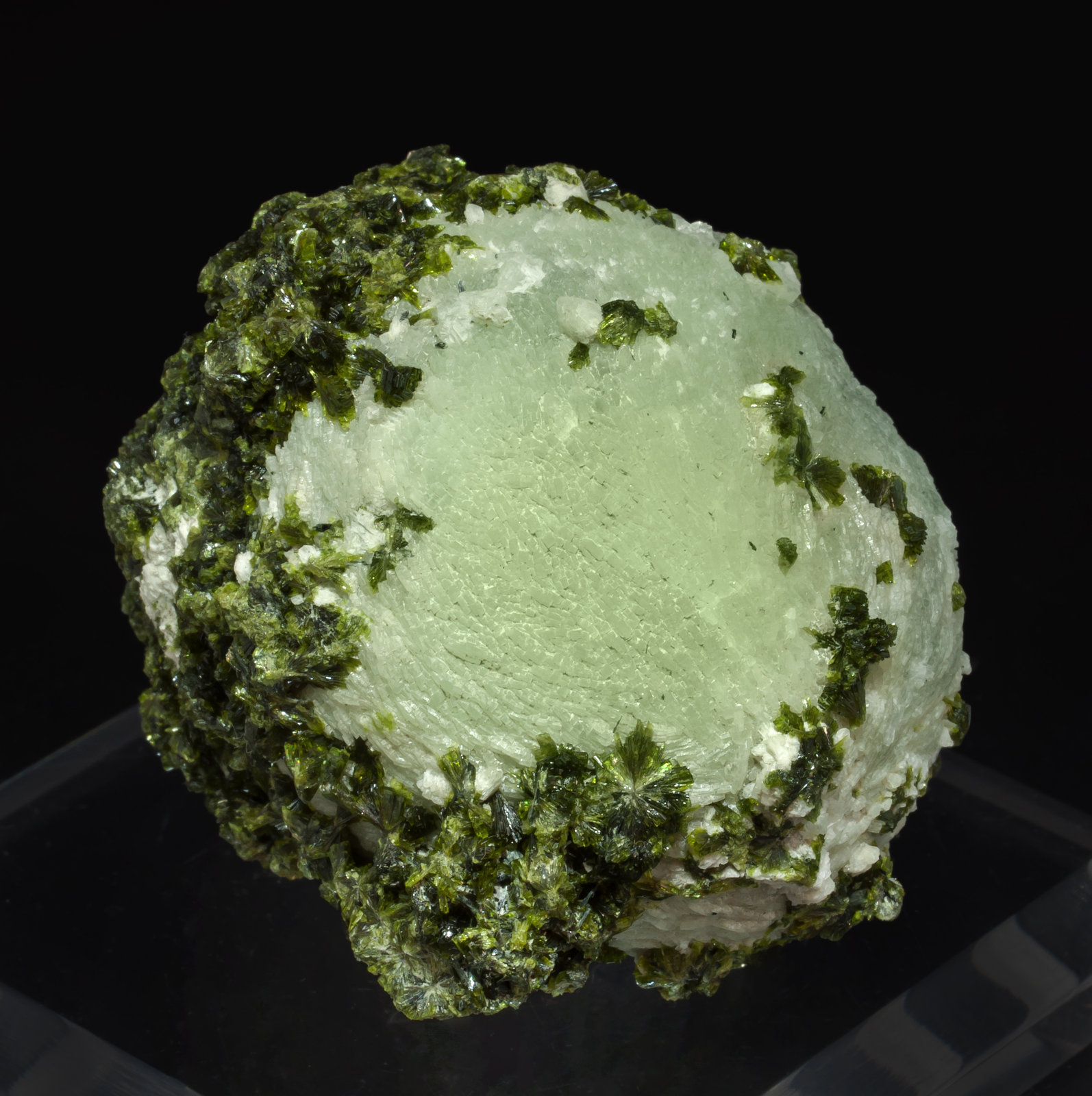 specimens/s_imagesAL4/Prehnite-MB16AL4s.jpg