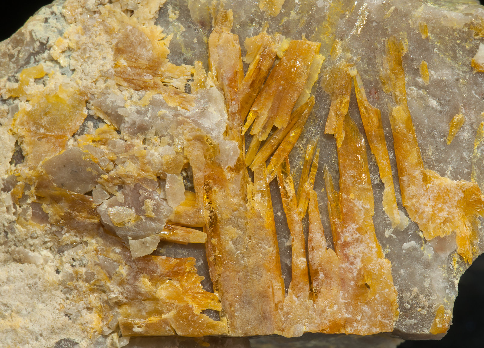 specimens/s_imagesAL4/Tellurite-TY48AL4d.jpg