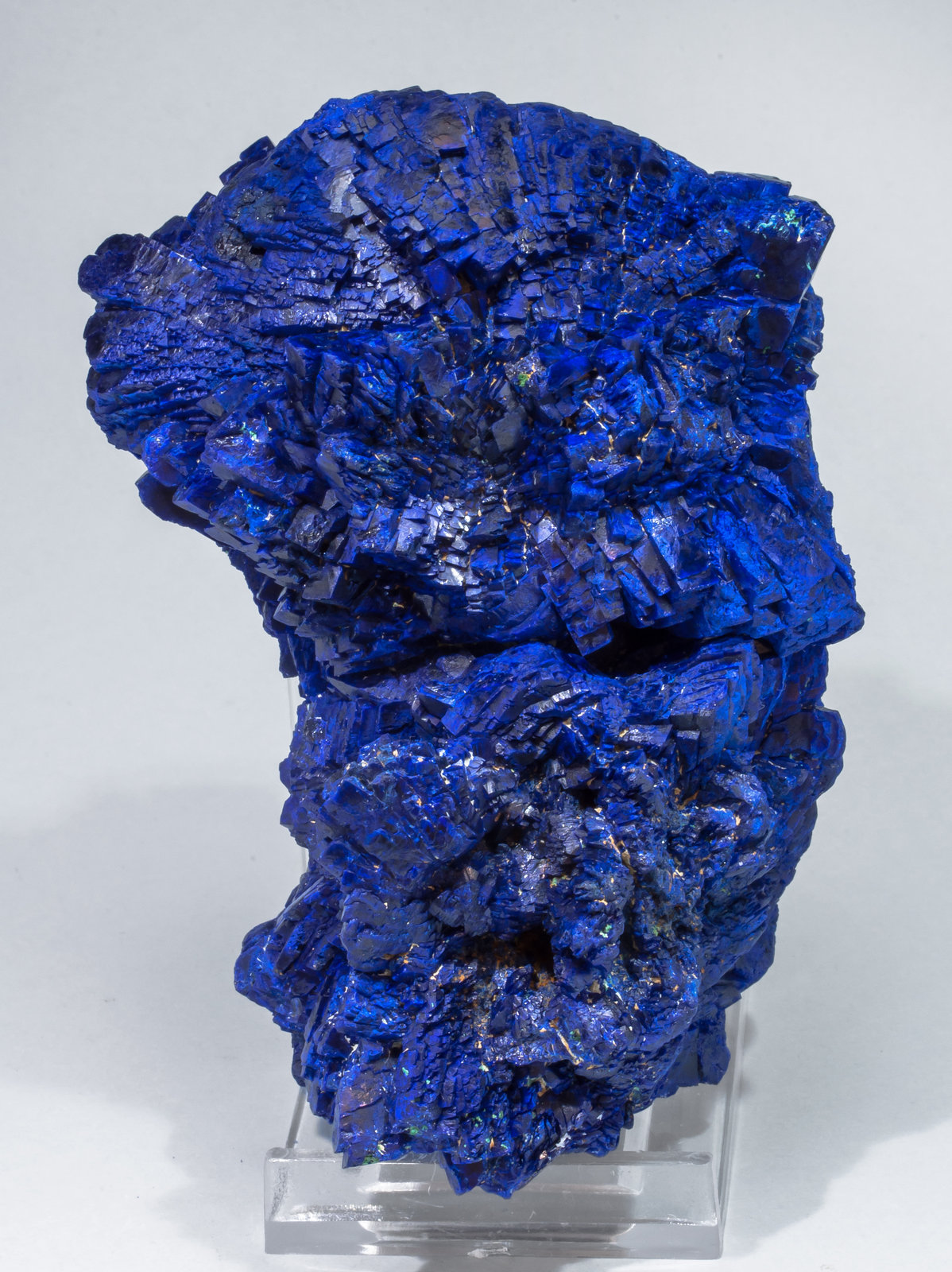 specimens/s_imagesAL5/Azurite-MA50AL5r.jpg