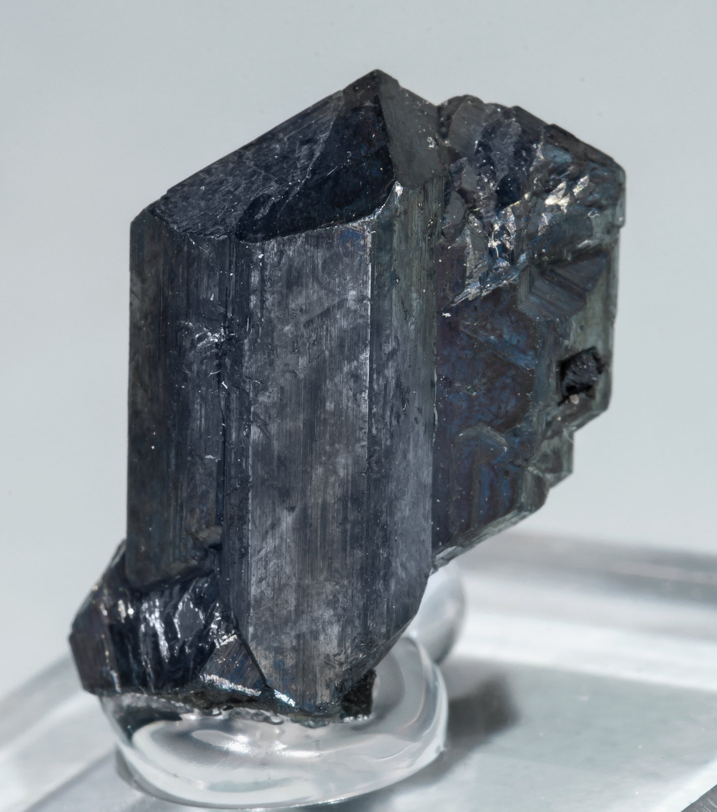 specimens/s_imagesAL5/Chalcocite-NE86AL5s.jpg