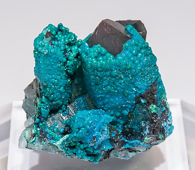 Chrysocolla on Quartz. Front