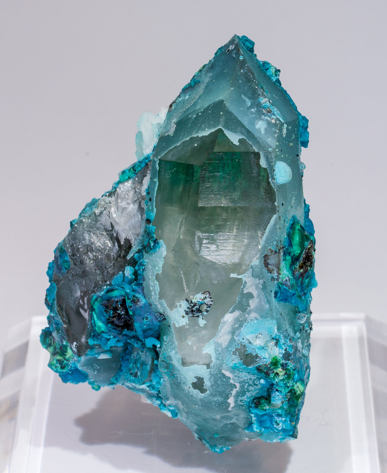 specimens/s_imagesAL5/Chrysocolla-TD89AL5f.jpg