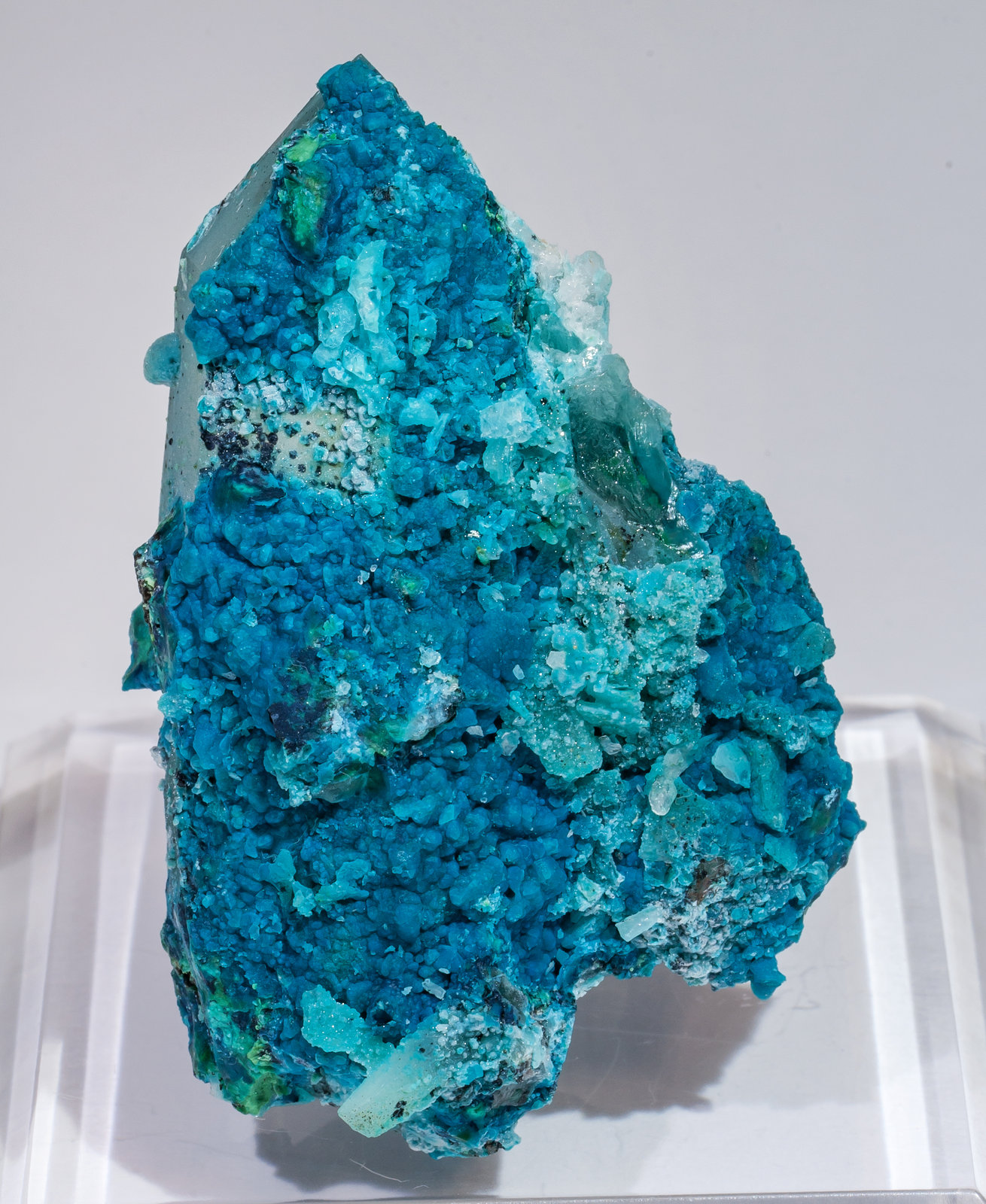 specimens/s_imagesAL5/Chrysocolla-TD89AL5r.jpg