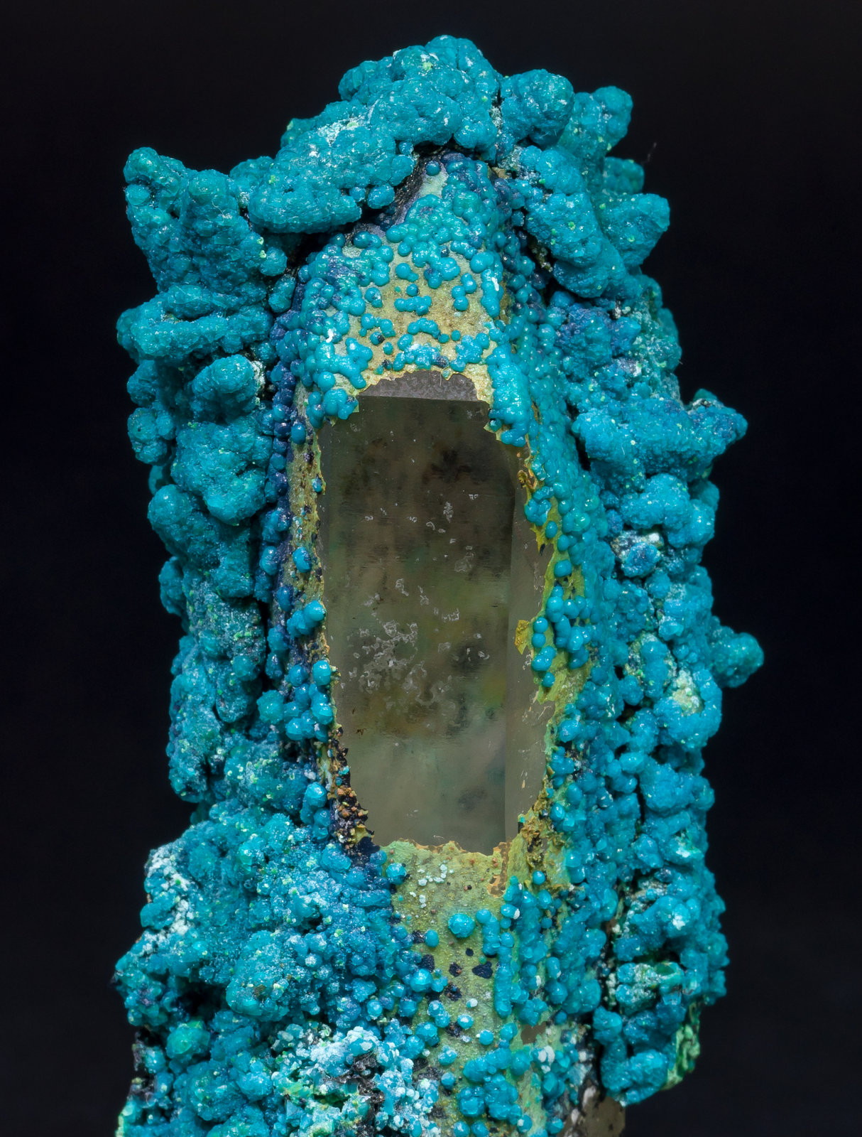 specimens/s_imagesAL5/Chrysocolla-TR26AL5d.jpg