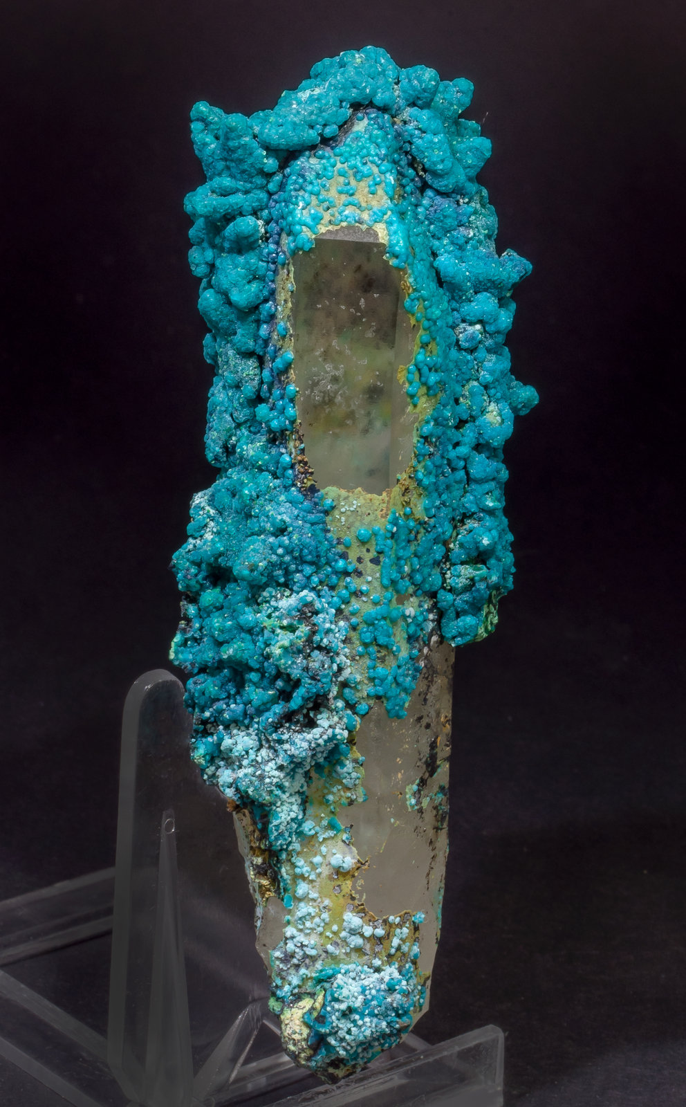 specimens/s_imagesAL5/Chrysocolla-TR26AL5f.jpg