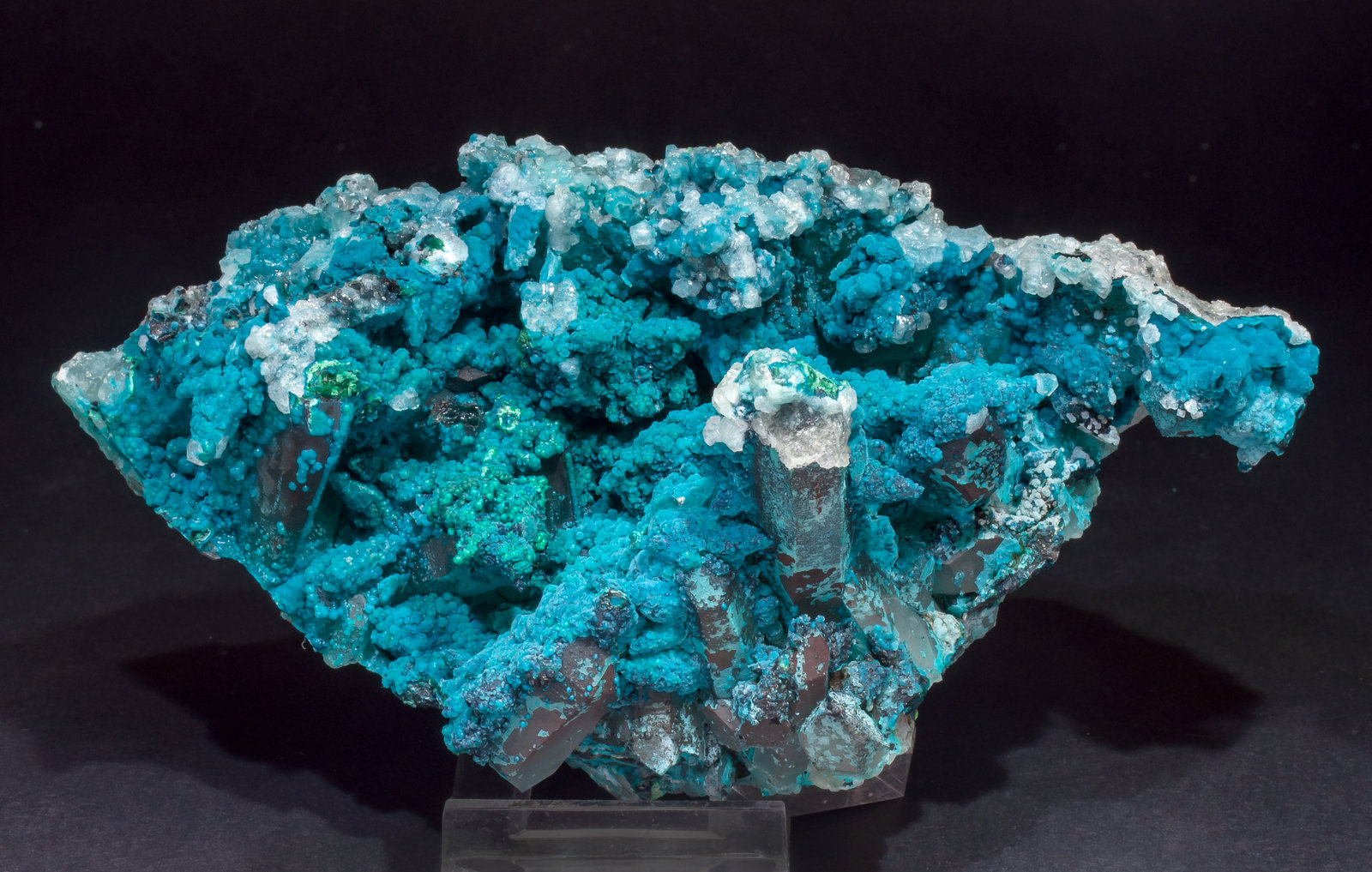 specimens/s_imagesAL5/Chrysocolla-TX56AL5f1.jpg