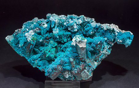 Chrysocolla on Quartz. 