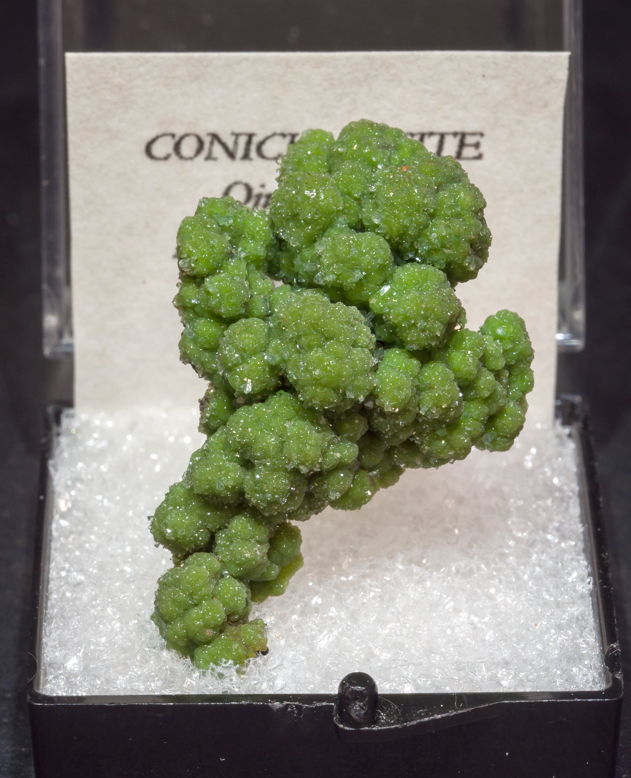specimens/s_imagesAL5/Conichalcite-TK87AL5f1.jpg