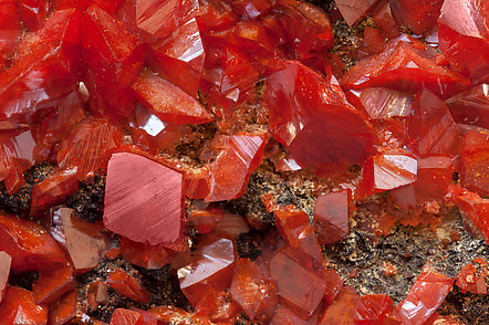 Crocoite with Vauquelinite. 