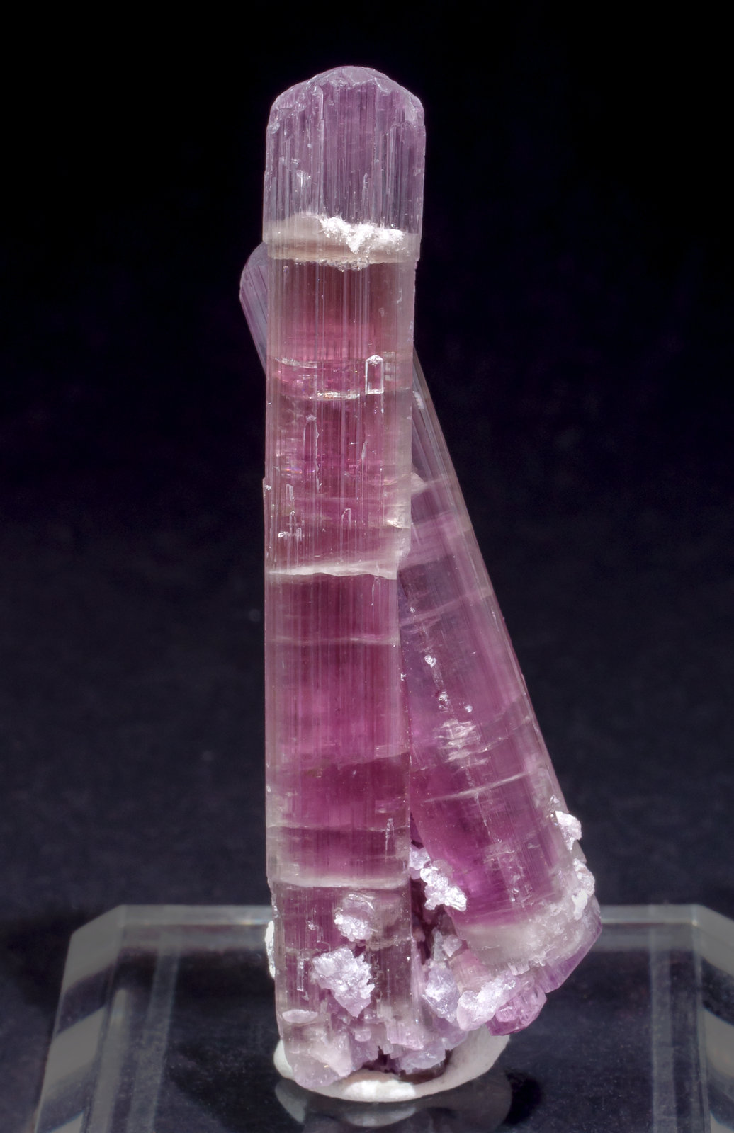 specimens/s_imagesAL5/Elbaite_rubellite-NR51AL5f.jpg