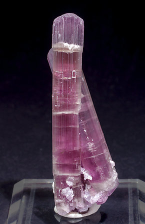 Elbaite (variety rubellite) with 'lepidolite'. Front