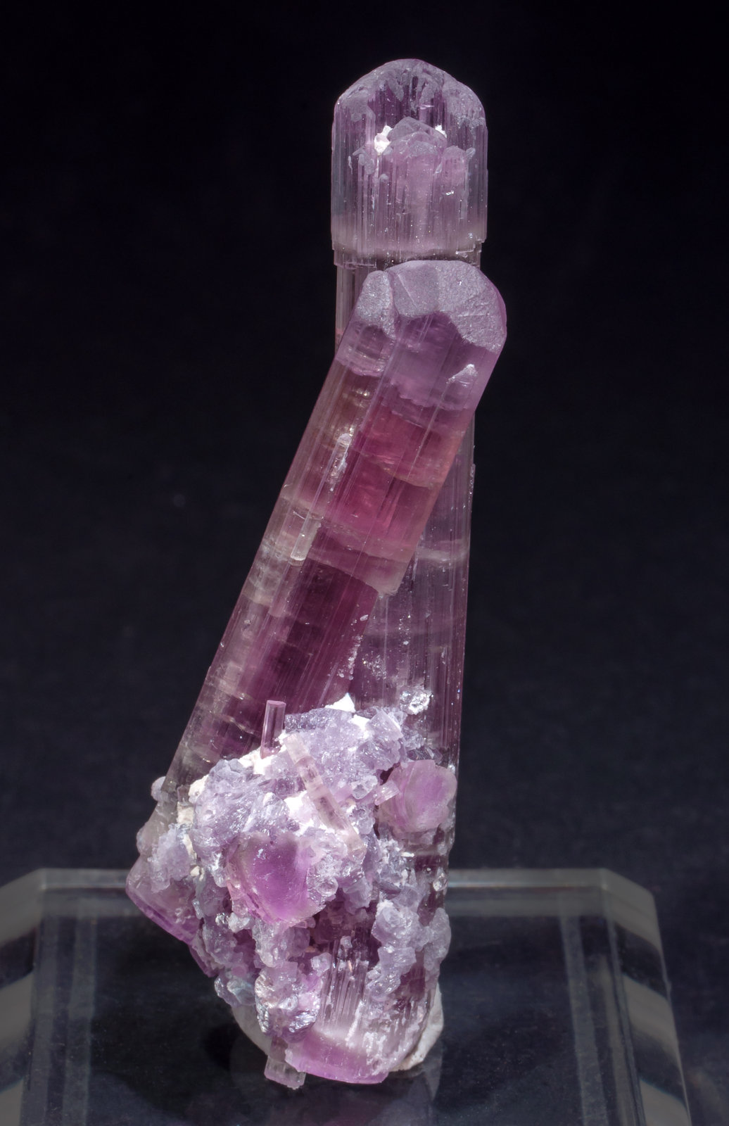 specimens/s_imagesAL5/Elbaite_rubellite-NR51AL5r.jpg