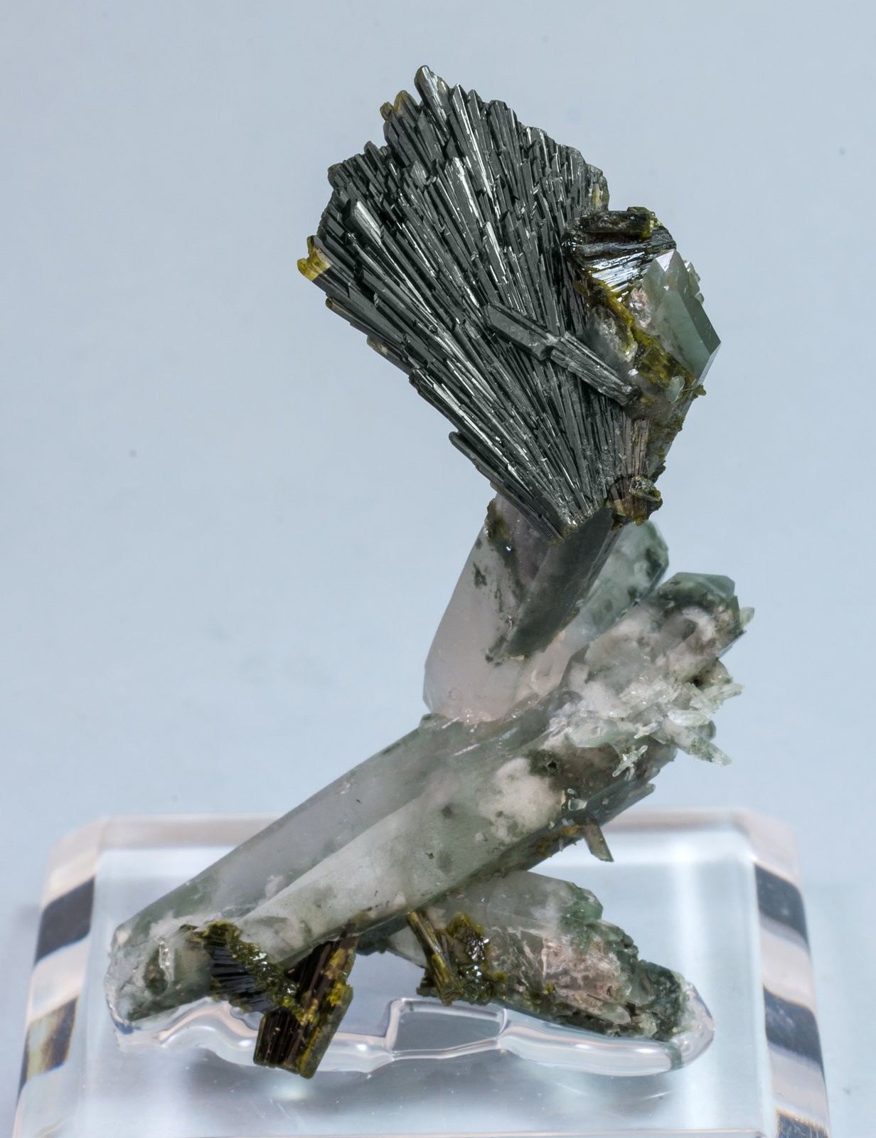 specimens/s_imagesAL5/Epidote-EC67AL5f.jpg