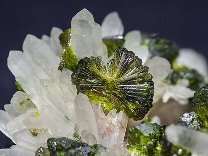 Epidote with Quartz. 