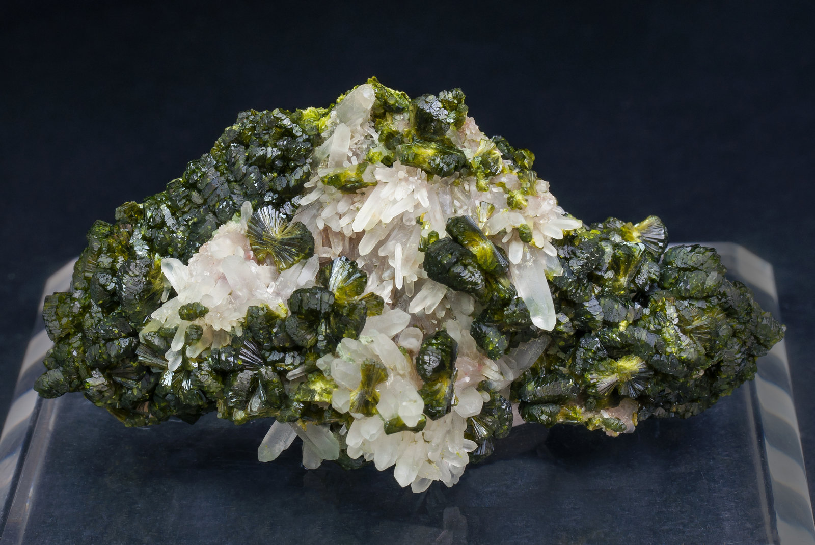 specimens/s_imagesAL5/Epidote-MA9AL5f.jpg