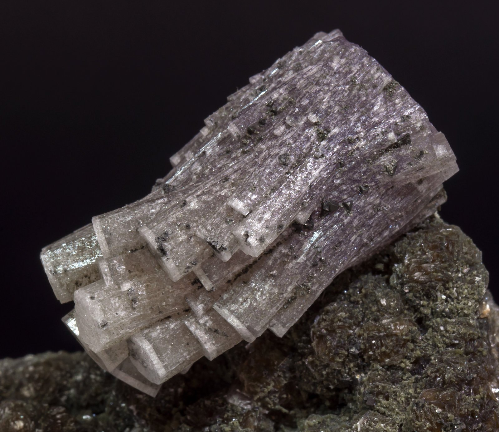 specimens/s_imagesAL5/Fluorapatite-NB57AL5d1.jpg