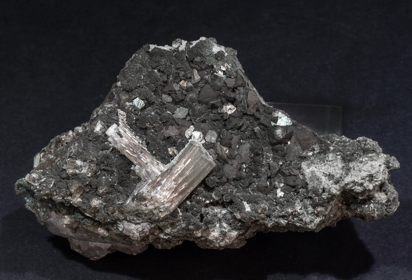 specimens/s_imagesAL5/Fluorapatite-NK46AL5f.jpg