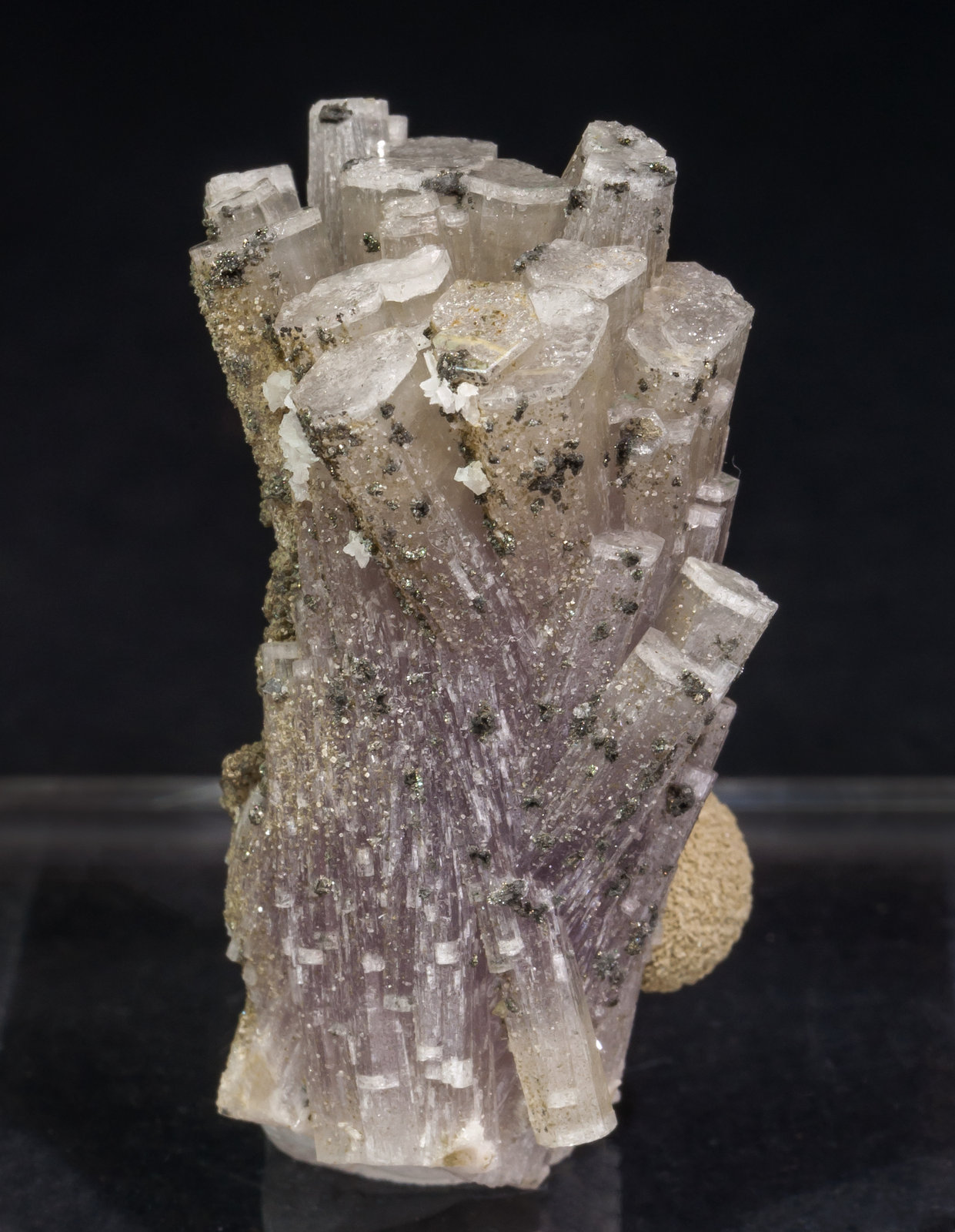 specimens/s_imagesAL5/Fluorapatite-NM6AL5f.jpg