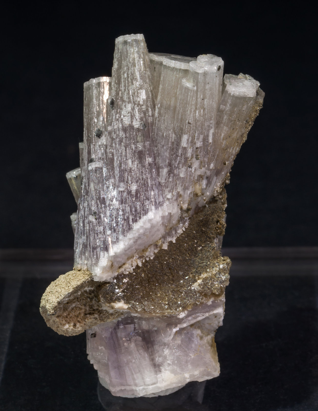 specimens/s_imagesAL5/Fluorapatite-NM6AL5r.jpg