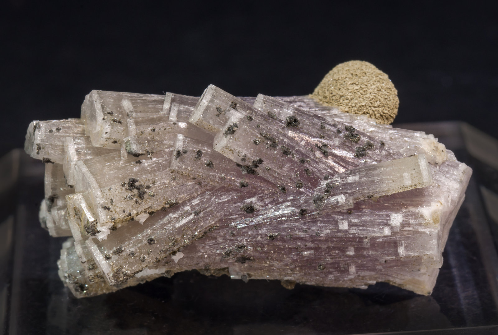 specimens/s_imagesAL5/Fluorapatite-NM6AL5s.jpg