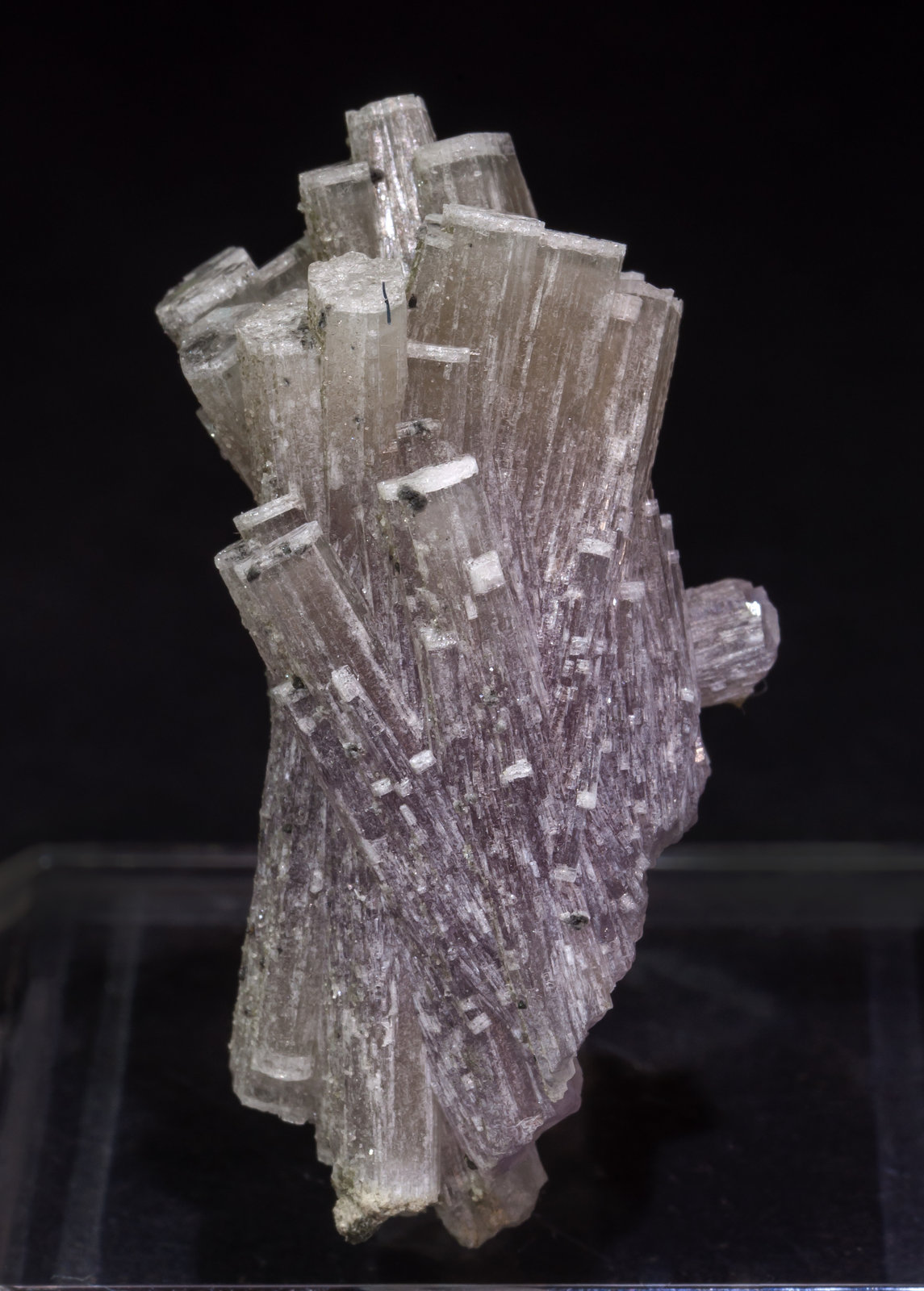 specimens/s_imagesAL5/Fluorapatite-NQ6AL5f.jpg