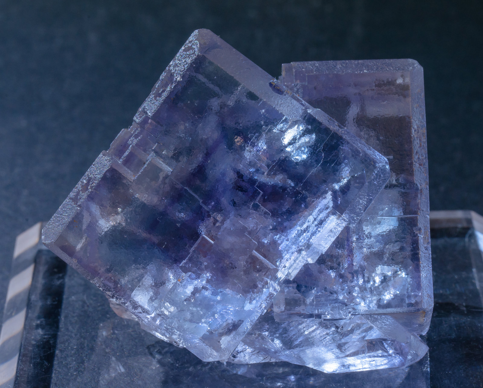 specimens/s_imagesAL5/Fluorite-NA90AL5f.jpg