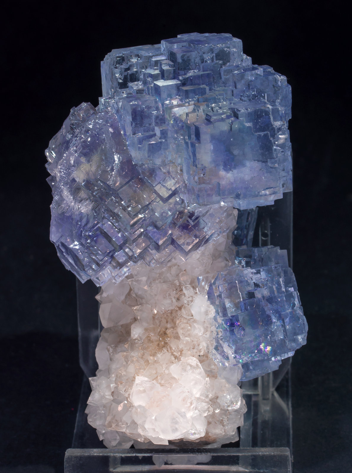 specimens/s_imagesAL5/Fluorite-NG89AL5s.jpg