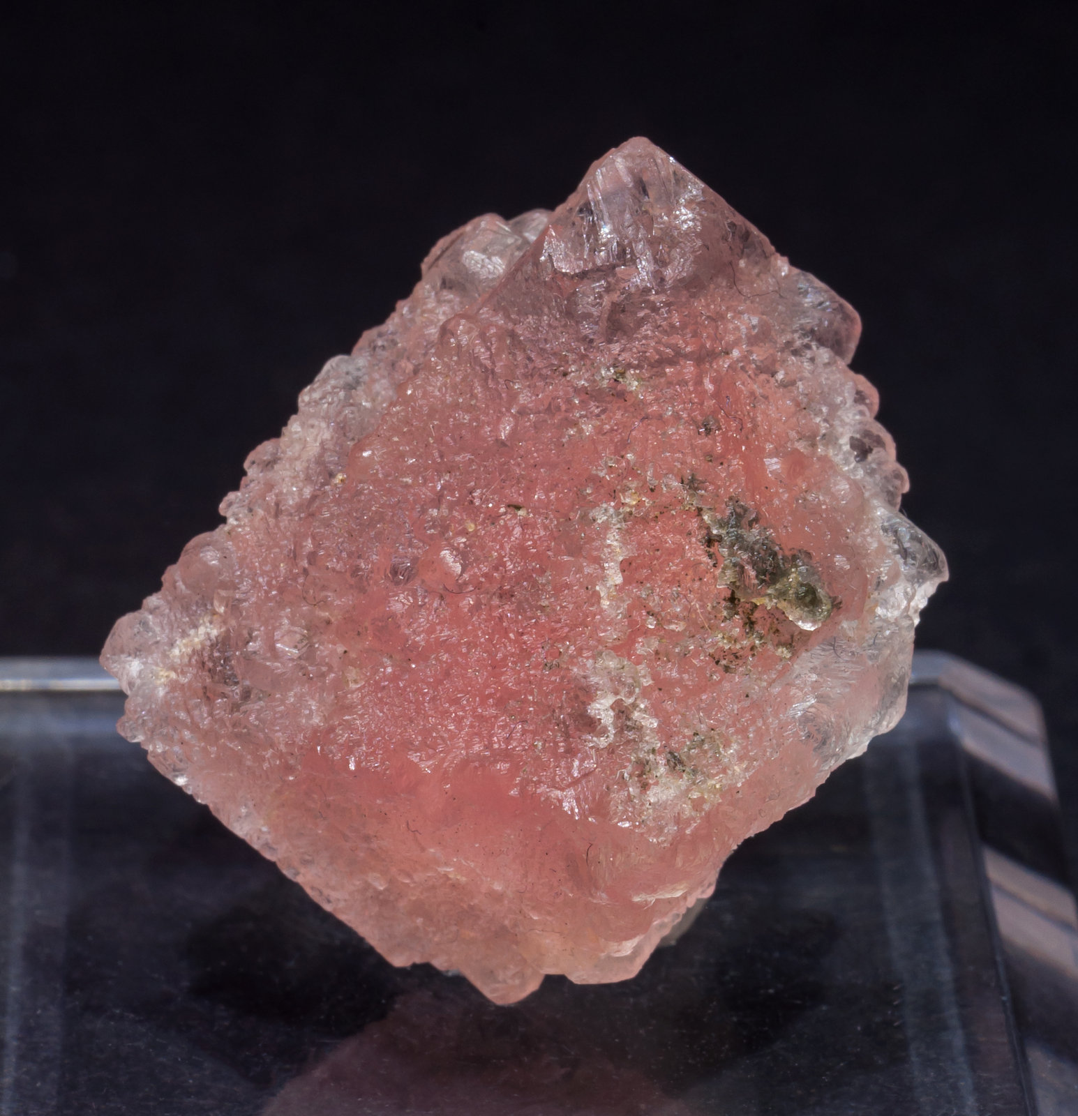 specimens/s_imagesAL5/Fluorite-TX98AL5s.jpg