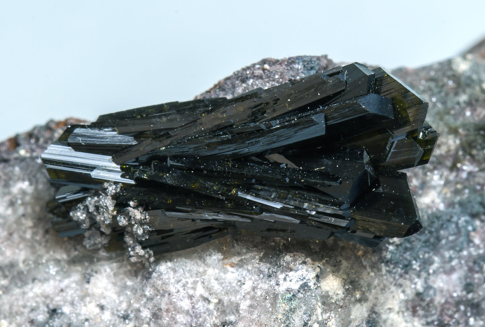 specimens/s_imagesAL5/Olivenite-TR48AL5d1.jpg