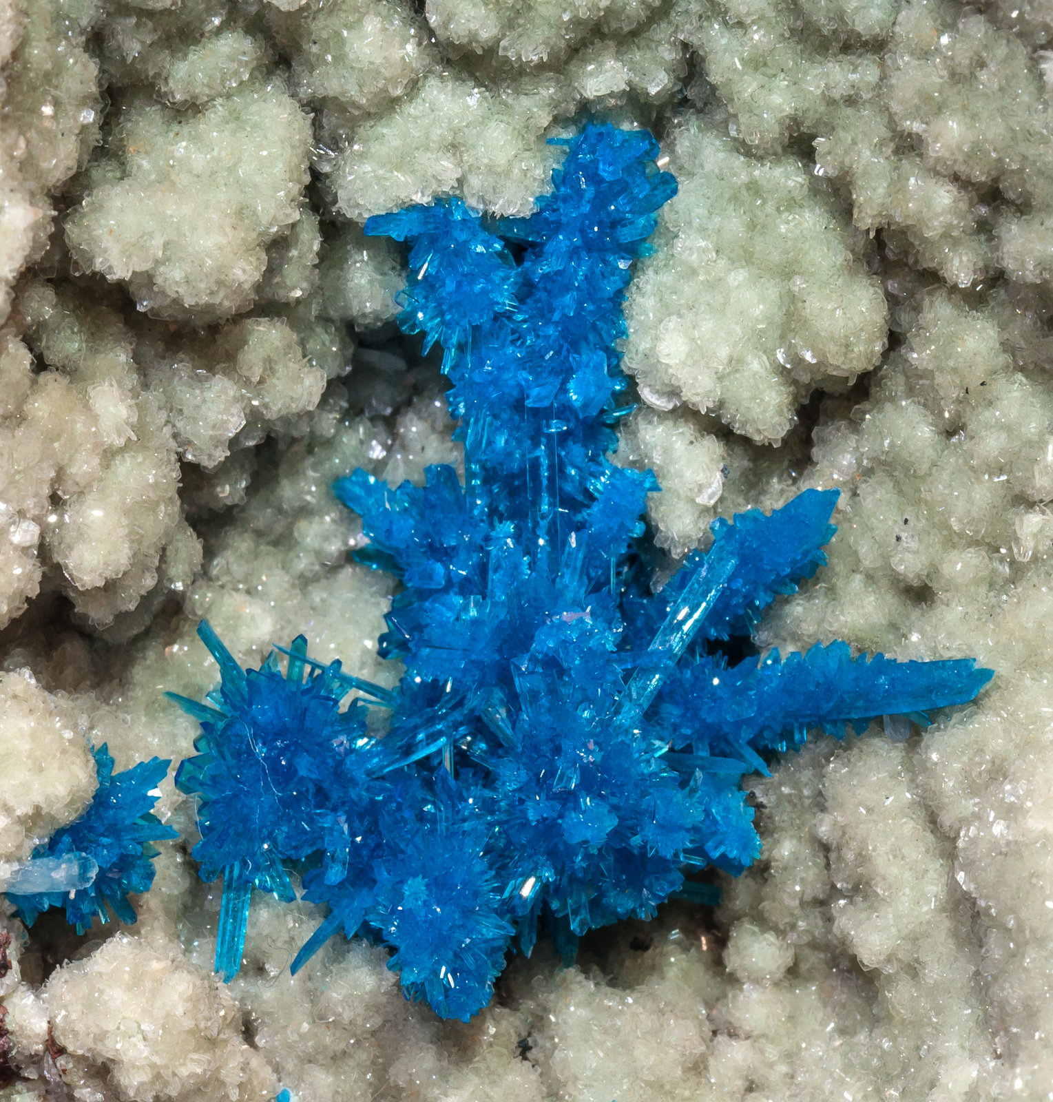 specimens/s_imagesAL5/Pentagonite-NV68AL5d.jpg