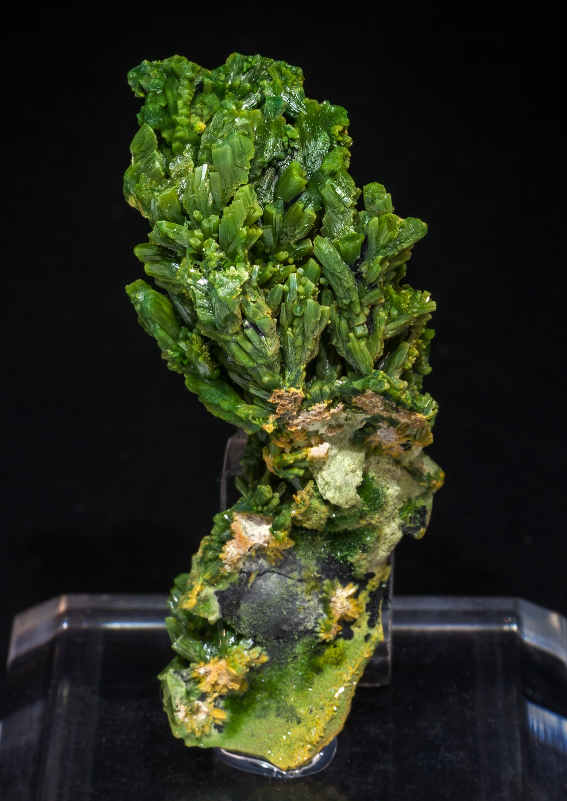 specimens/s_imagesAL5/Pyromorphite-EZ47AL5f.jpg