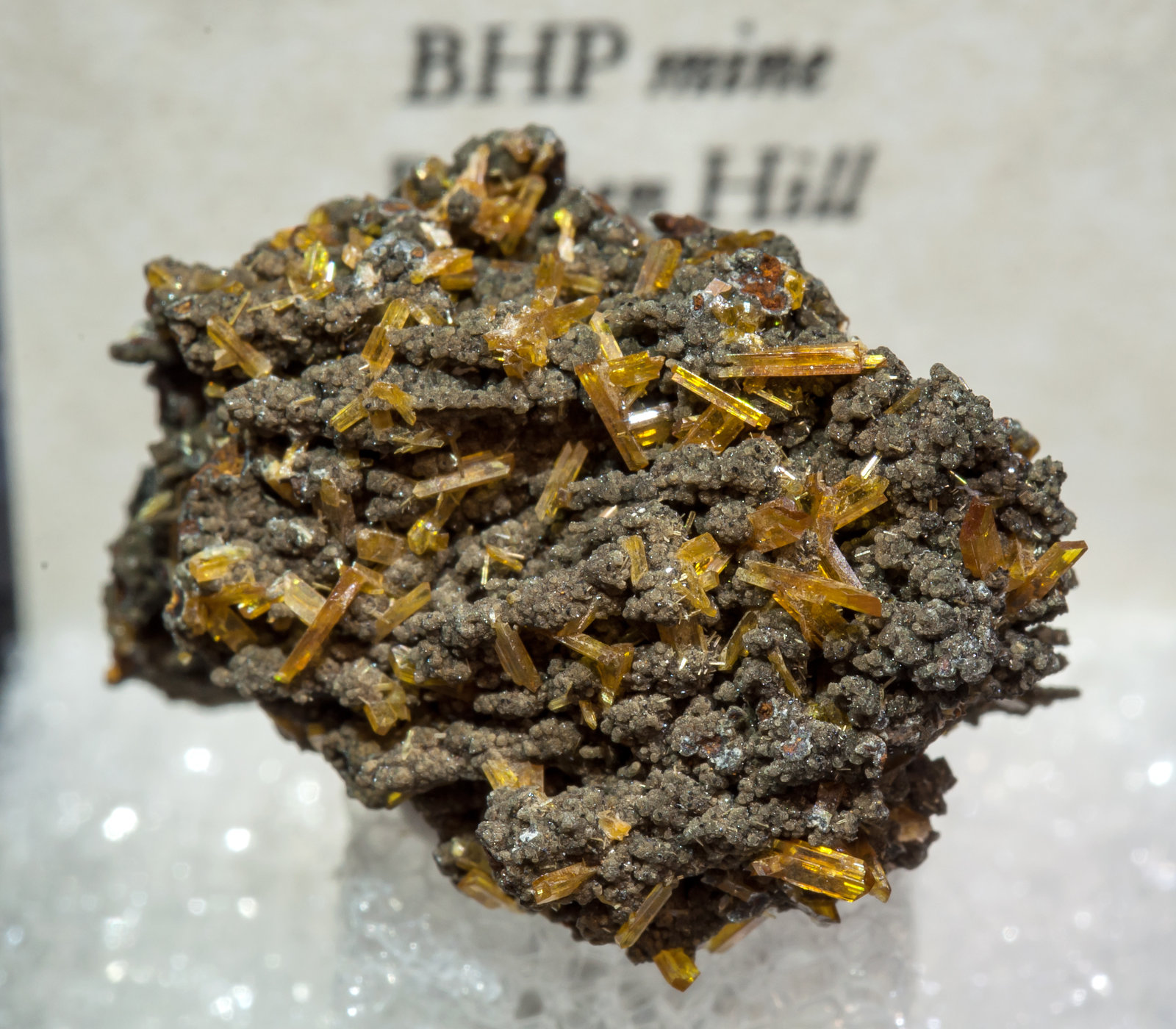 specimens/s_imagesAL5/Raspite-TE91AL5f2.jpg