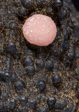 Rhodochrosite with Hisingerite-Neotocite (Series). 