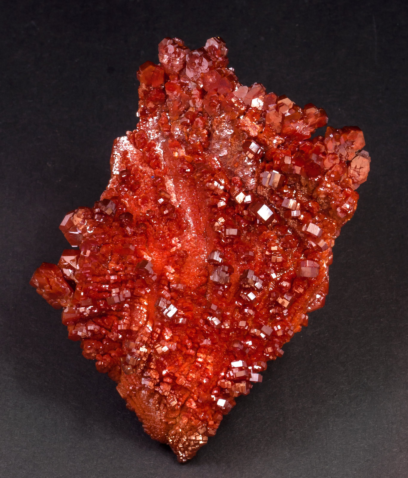 specimens/s_imagesAL5/Vanadinite-ET46AL5f.jpg