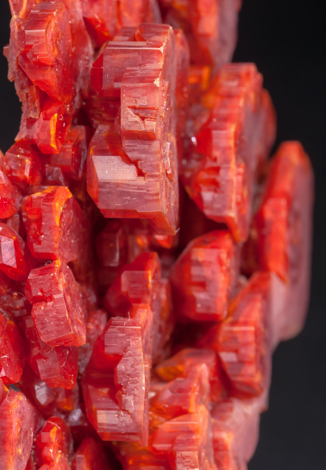 specimens/s_imagesAL5/Vanadinite-MV37AL5d.jpg