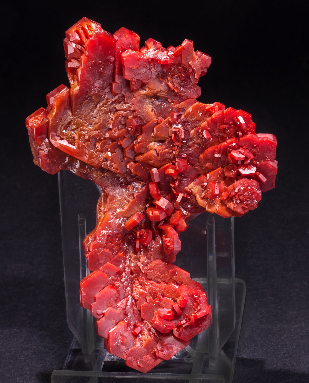 specimens/s_imagesAL5/Vanadinite-MV37AL5r.jpg