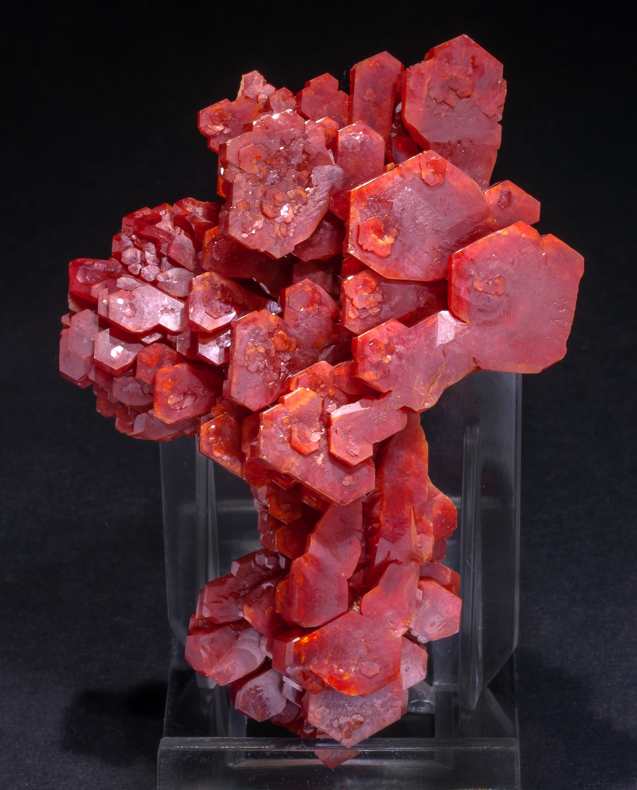 specimens/s_imagesAL5/Vanadinite-MV37AL5s.jpg