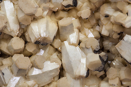 Vanadinite (variety arsenic-bearing vanadinite) with Mottramite. 