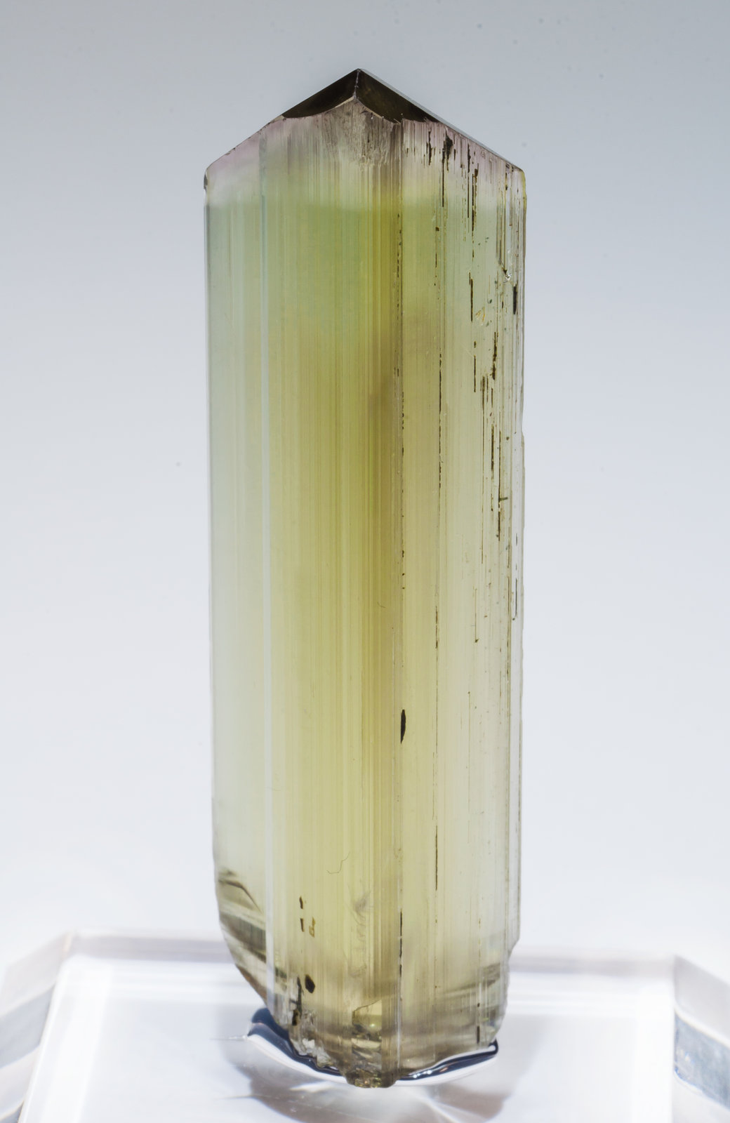 specimens/s_imagesAL6/Diaspore-EF26AL6r1.jpg