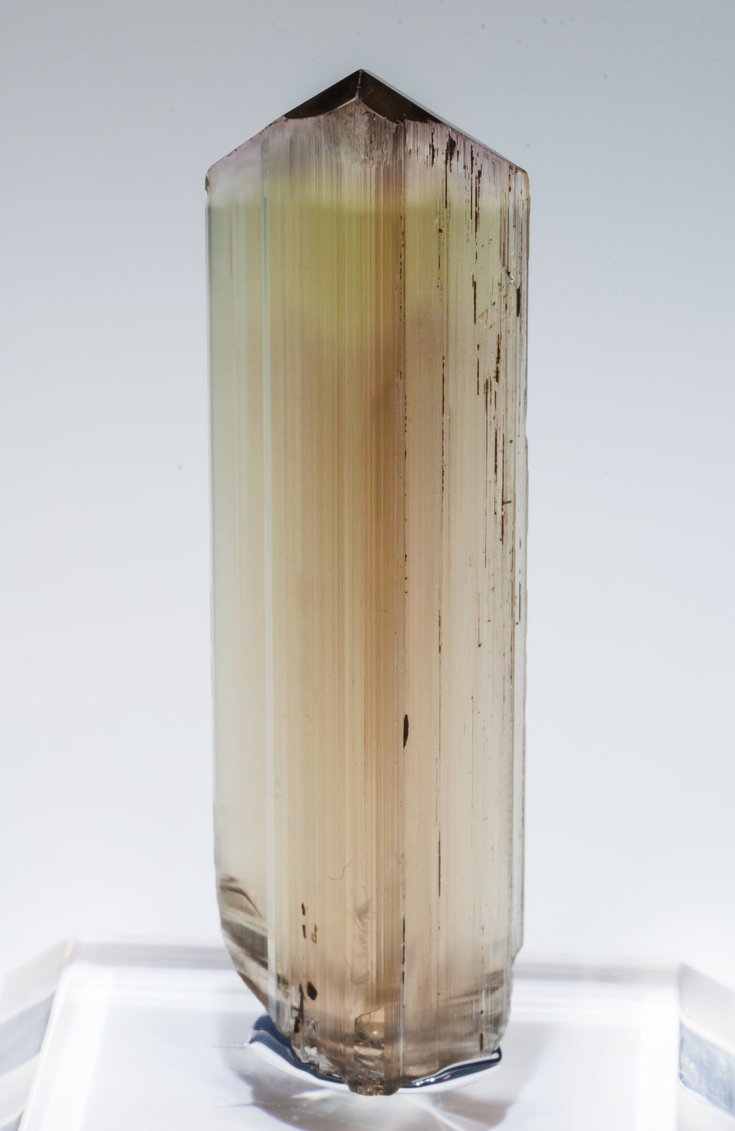 specimens/s_imagesAL6/Diaspore-EF26AL6r2.jpg