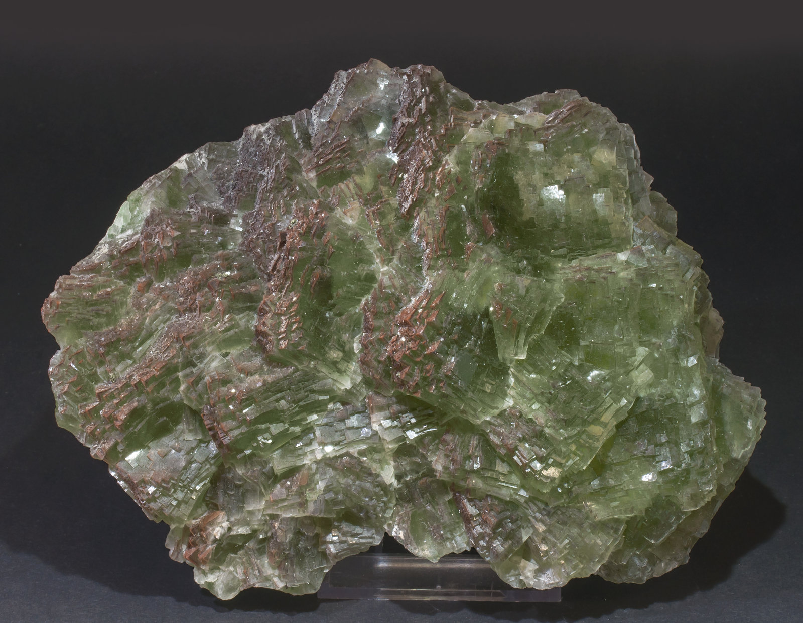 specimens/s_imagesAL6/Fluorite-MF92AL6f.jpg