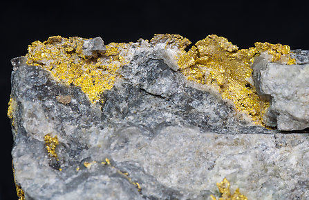 Gold with Quartz. 