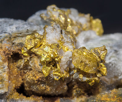 Gold with Quartz. 