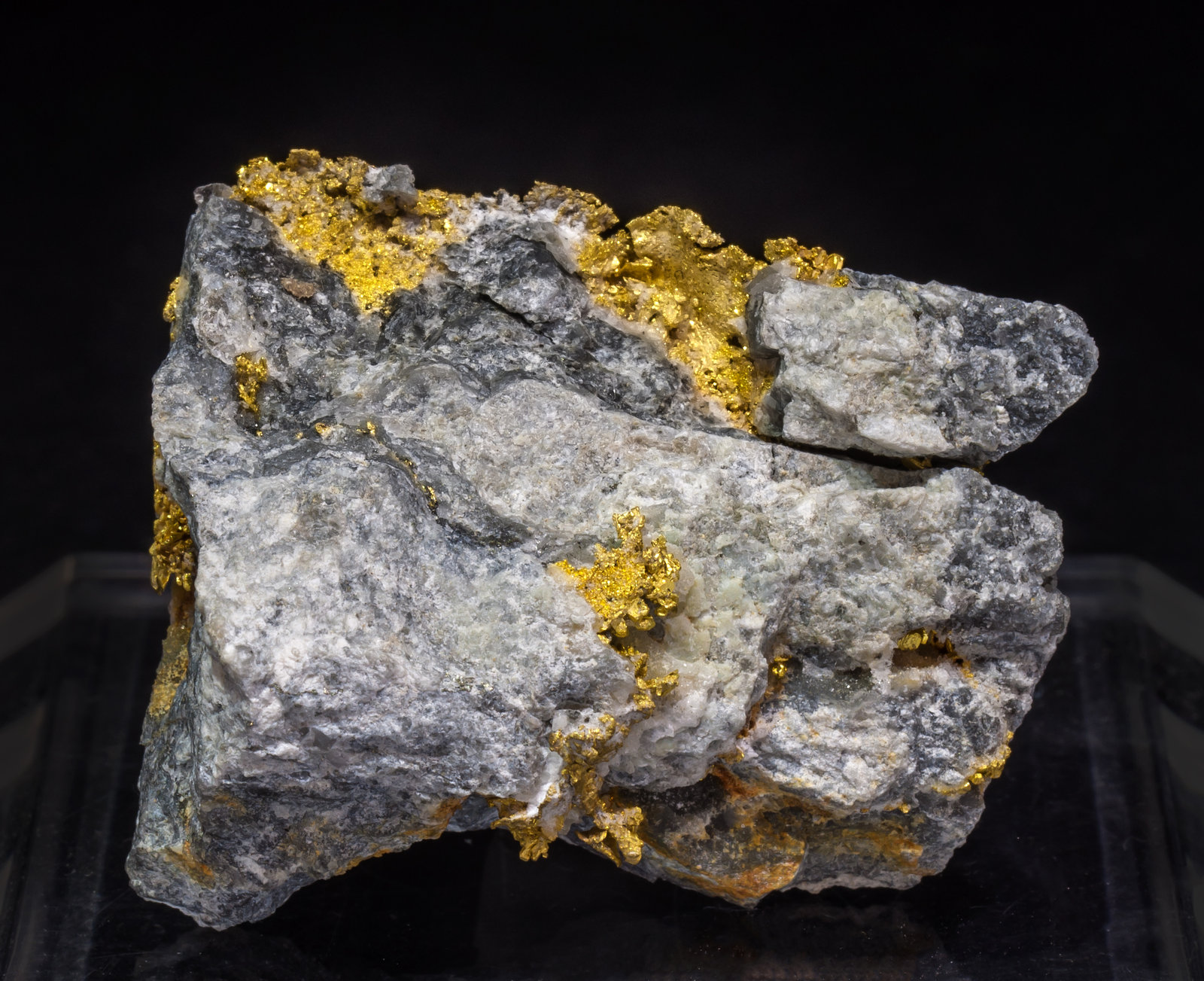 specimens/s_imagesAL6/Gold-TJ99AL6f.jpg