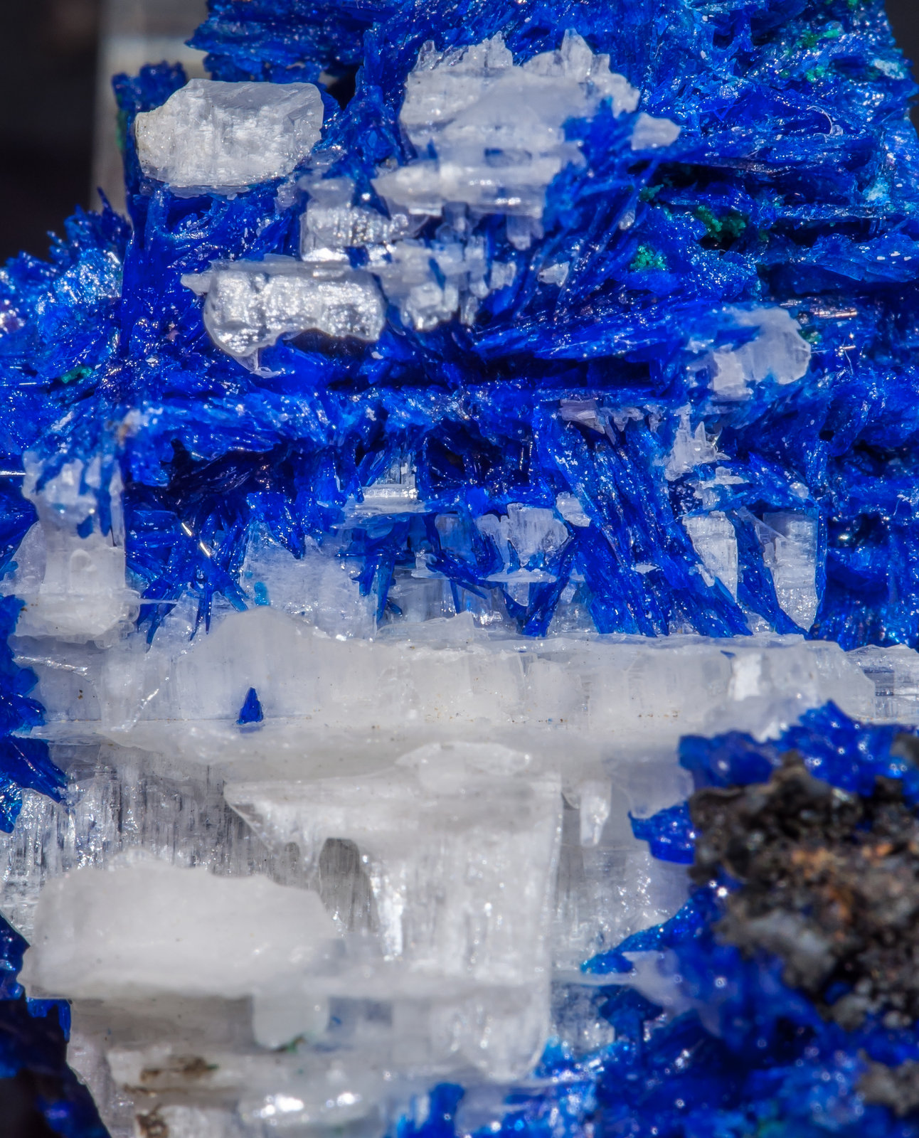 specimens/s_imagesAL6/Linarite-EA97AL6d.jpg